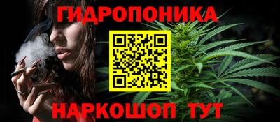шишки Донецк